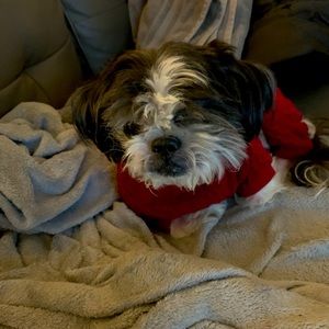 Meet your Posher, Imani